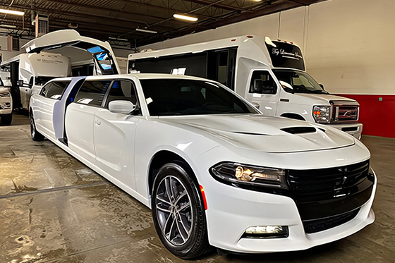 10 Passenger Charger Limousine
