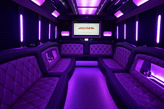 party bus features