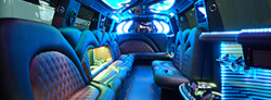 one of our party buses