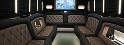 28 passenger party bus